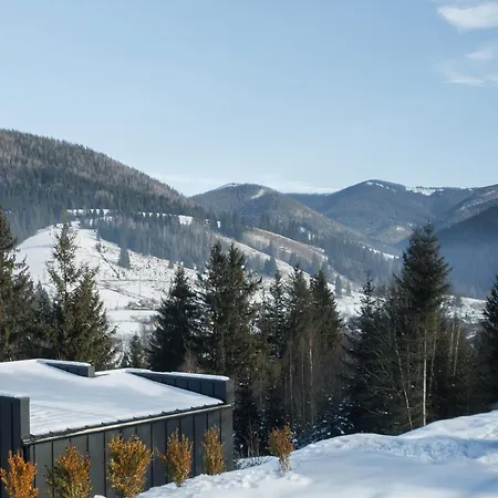 Carpathians View Krivopillja