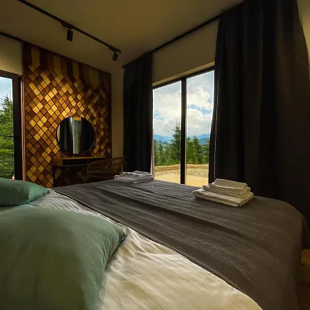 Carpathians View *