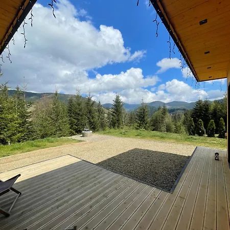 Carpathians View